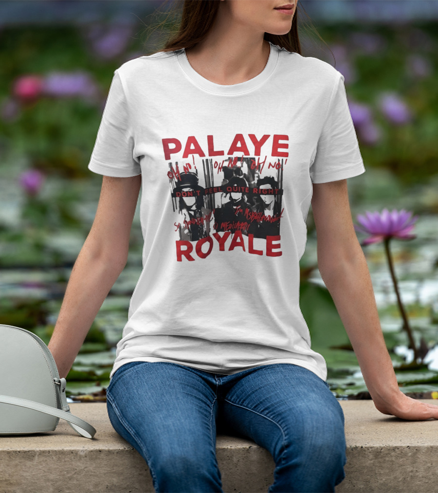 Palaye Royale Don't Feel Quite Right Oh No So Unsatisfied Misunderstood Mediocre T-Shirt