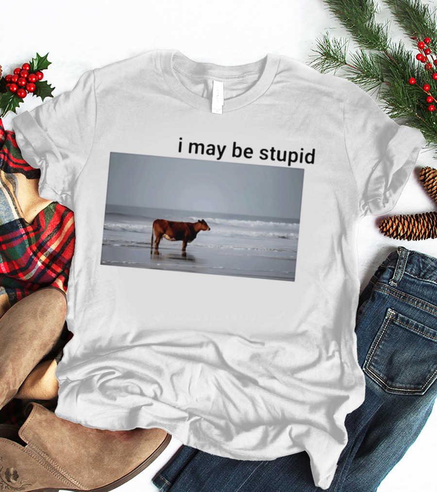 I May Be Stupid Cow At The Beach T-Shirt