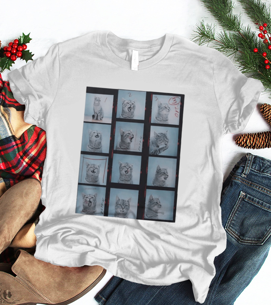 Tabby Cat Film Strip Series With Numbered Frames And Annotations T-Shirt