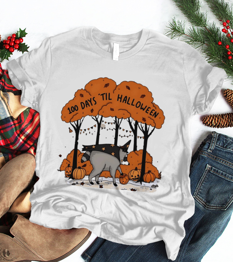 100 Days 'til Halloween Raccoon Wizard Costume In Pumpkin Patch Forest T-Shirt