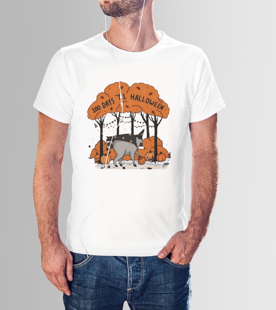 100 Days 'til Halloween Raccoon Wizard Costume In Pumpkin Patch Forest T-Shirt
