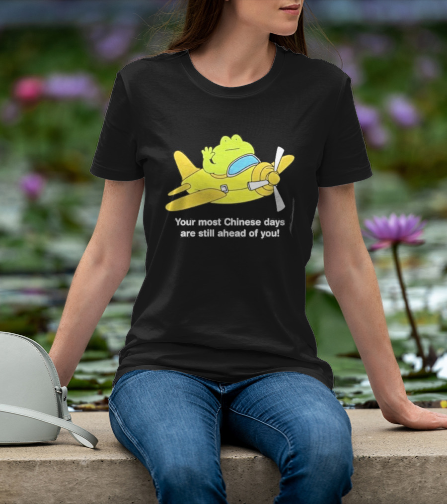Frog Your Most Chinese Days Are Still Ahead Of You Airplane Scene T-Shirt