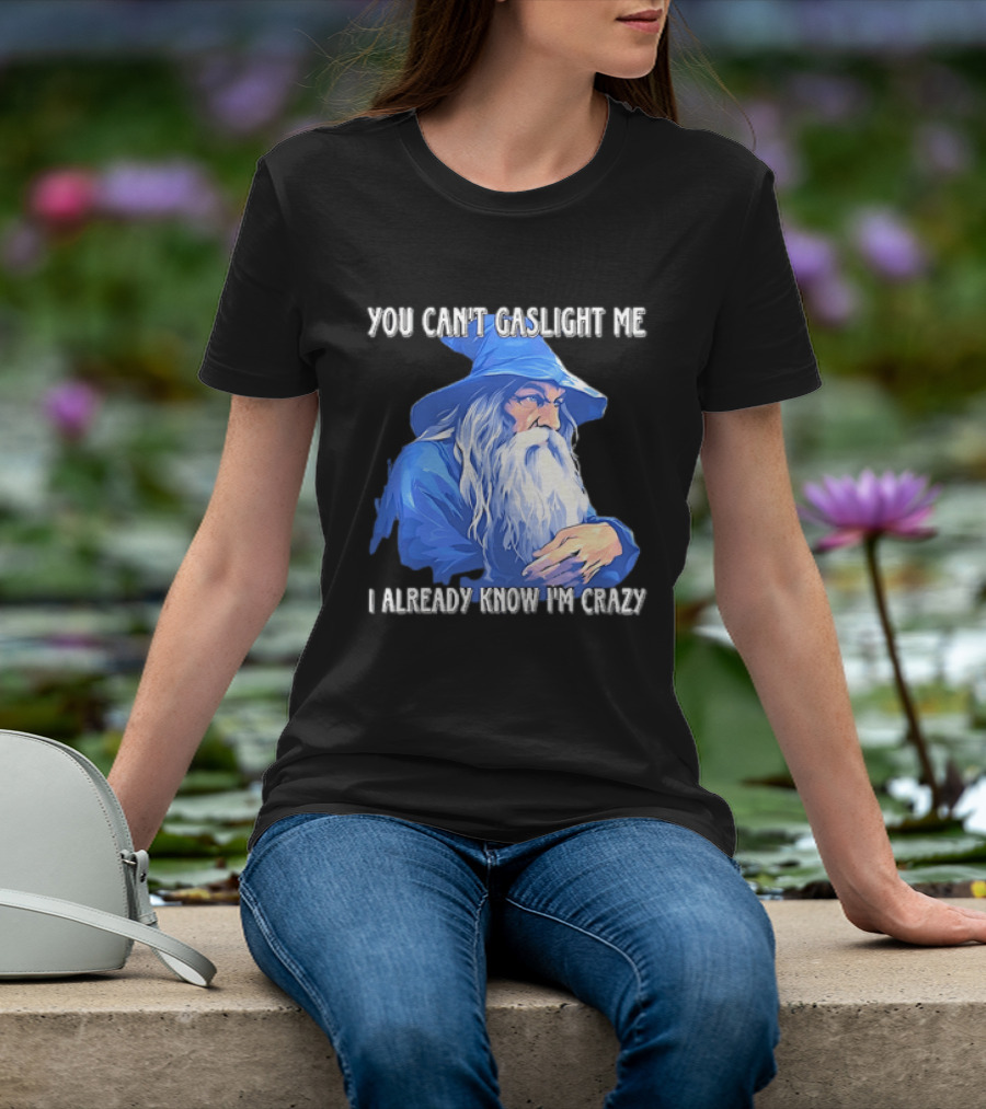 You Can't Gaslight Me I Already Know I'm Crazy Wizard Robe And Hat T-Shirt