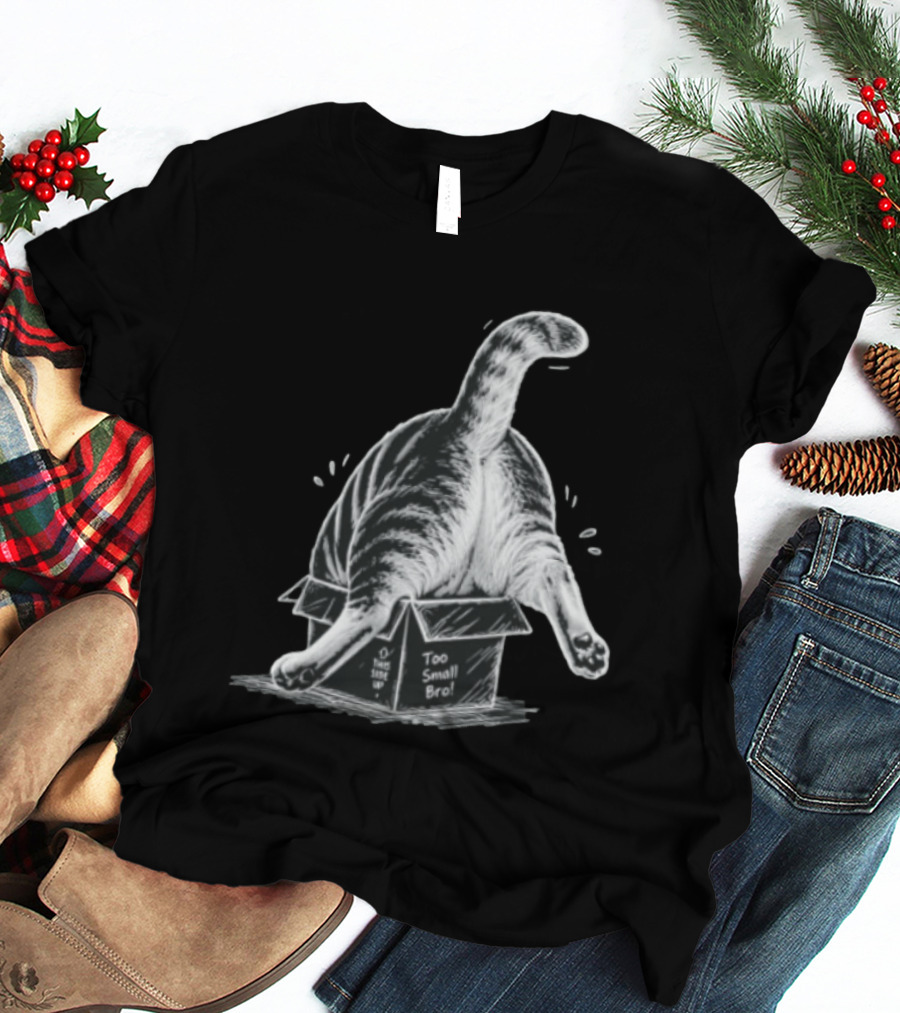 Too Small Bro Tabby Cat Stuck In Box Rear View T-Shirt