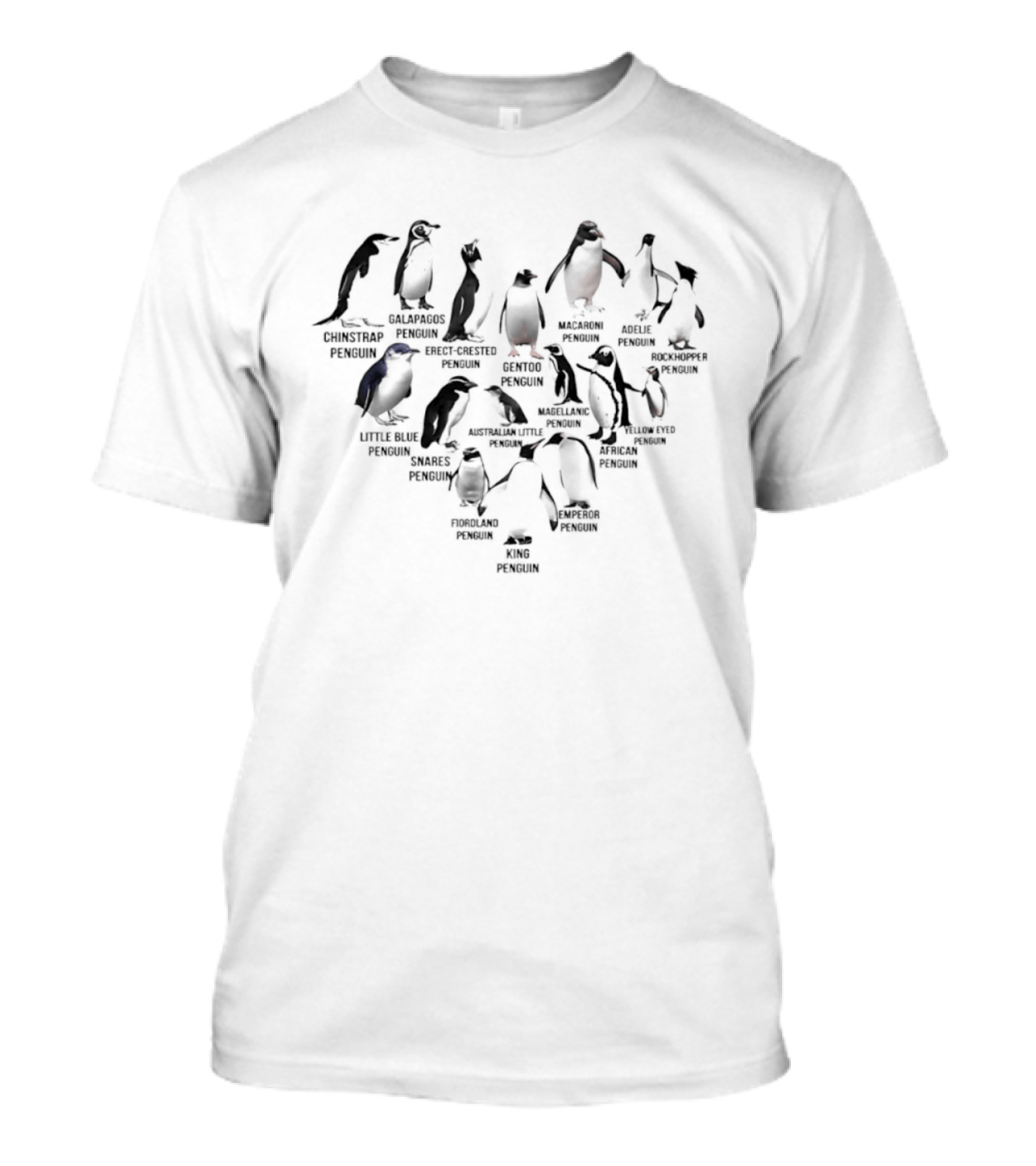 Heart Shape Compilation Featuring Diverse Penguin Species Names T-Shirt