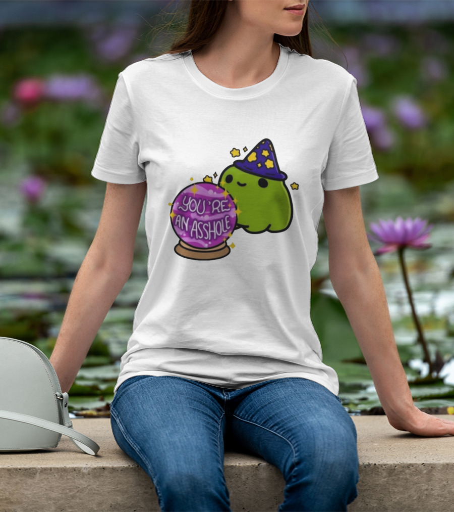 Frog Wizard Starry Hat Crystal Ball You're An Asshole T-Shirt