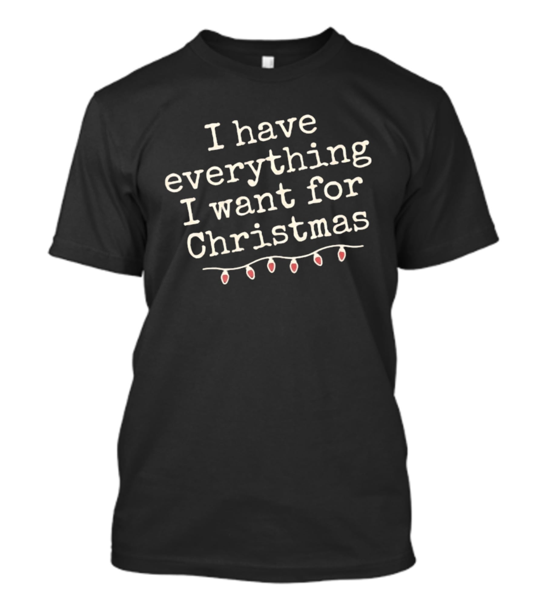 I Have Everything I Want For Christmas Holiday Lights T-Shirt