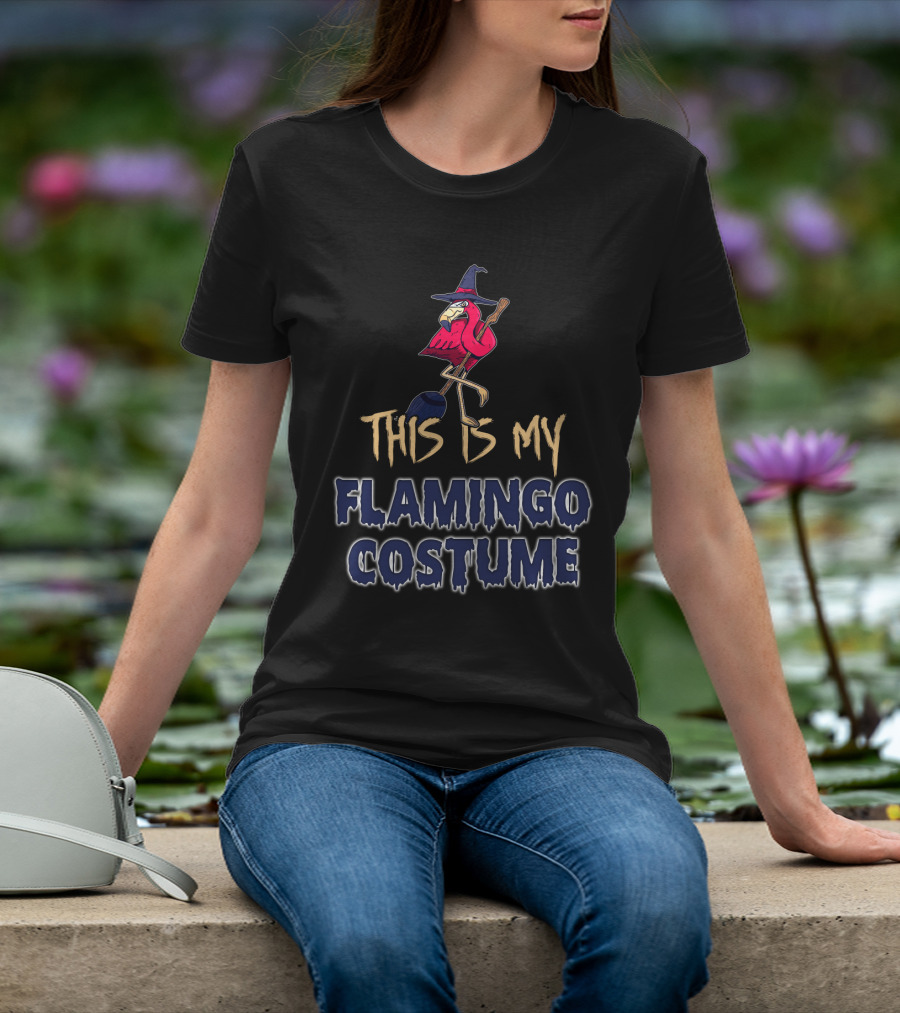This Is My Flamingo Costume Witch Broomstick Family T-Shirt