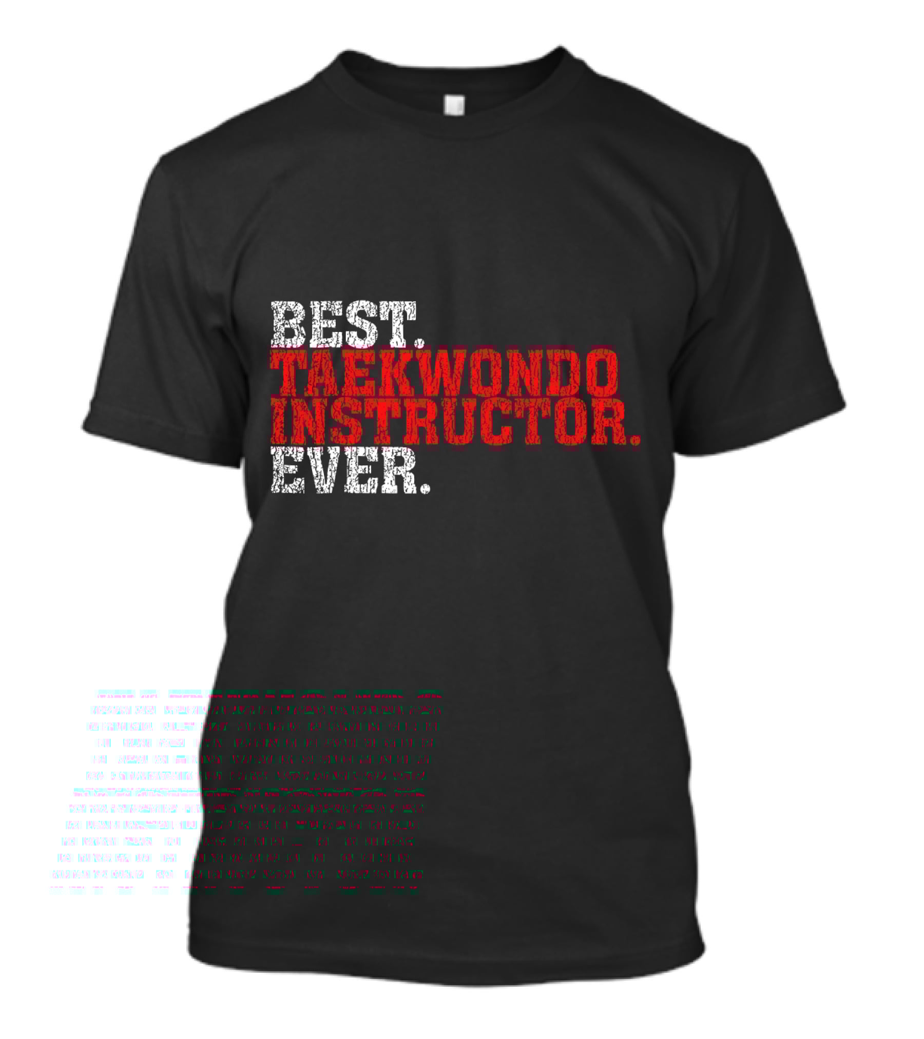 BEST TAEKWONDO INSTRUCTOR EVER T-Shirt