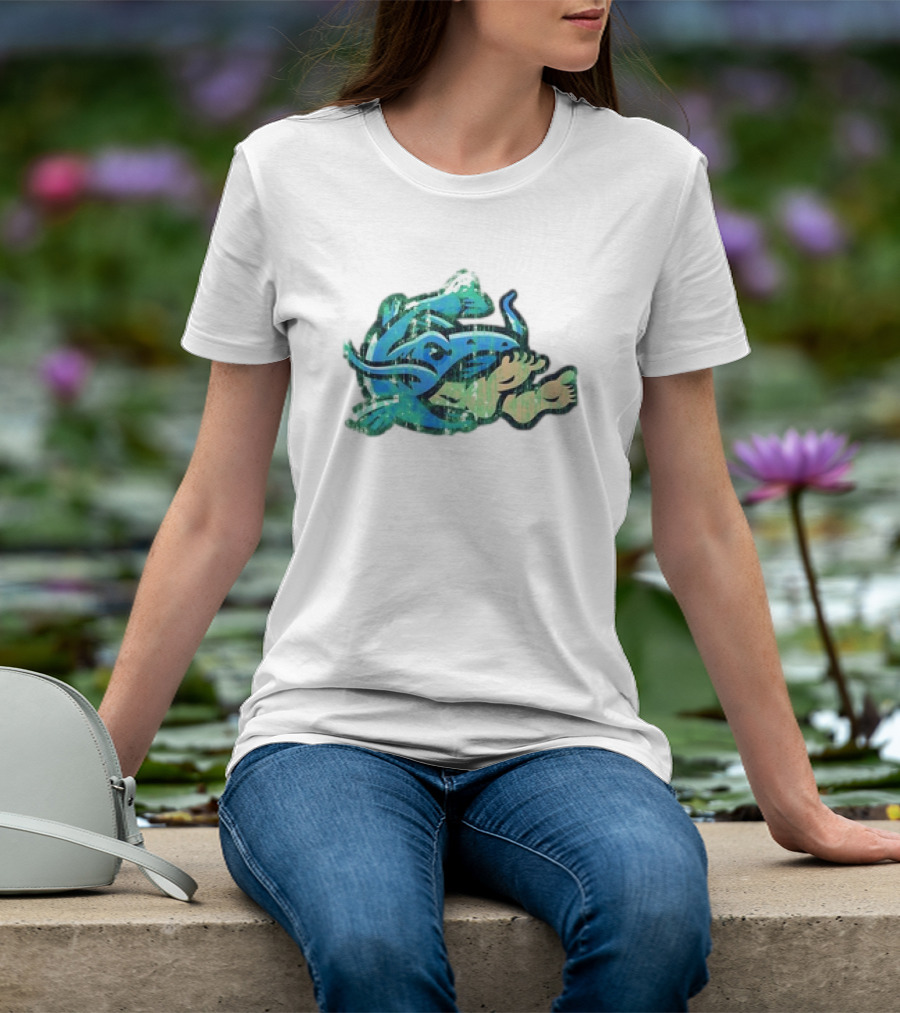 Noodlers Distressed Swimming Meme T-Shirt