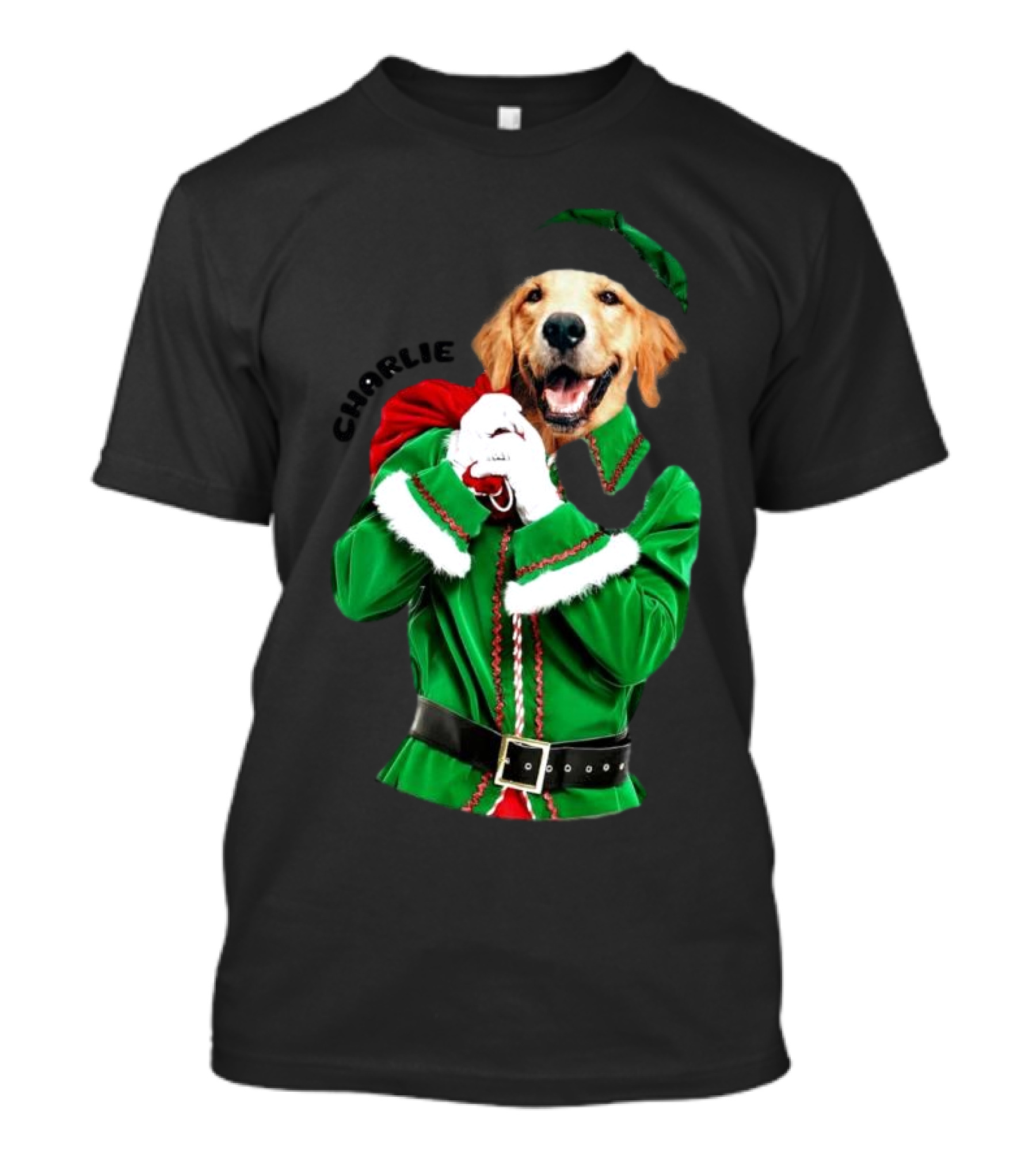 Charlie Personalized Santa Dog Christmas T-Shirt